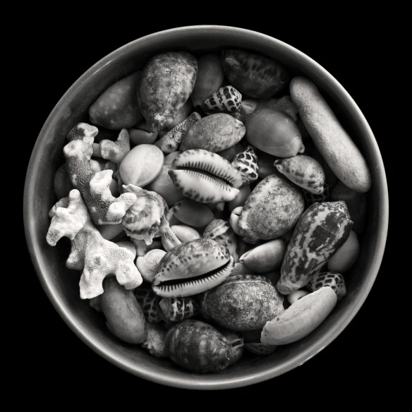 Bowl of Shells