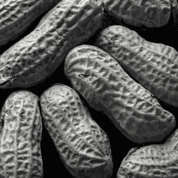 Peanuts
