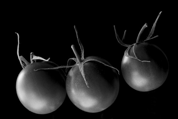 Three Dancing Tomatoes