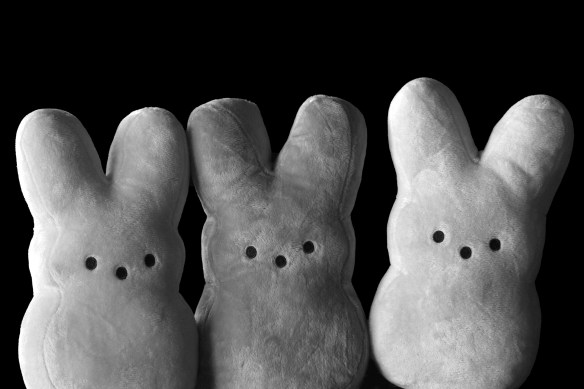 Three Bunnies Outside Los Angeles, CA